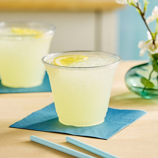 9oz PET Cup 1000pcs/ case